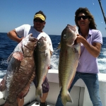 Grouper and Tile fish